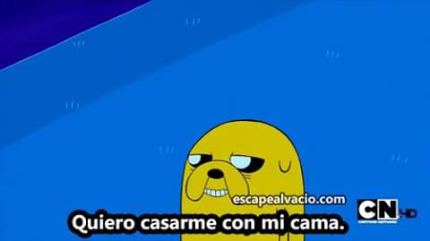 Ale2152 tweet picture
