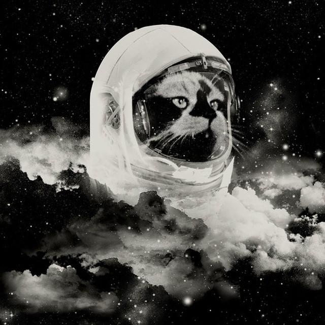 beam_to_go's tweet image. sound_nightclub "Clue. 🌀 #soundsecrets"