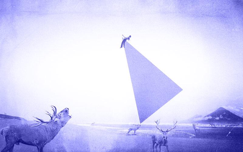 𝚅. 𝙲𝚘𝚌𝚘𝚗𝚞𝚝𝚜 tweet media