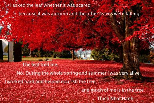 Provoke_Emotion's tweet image. Life and death