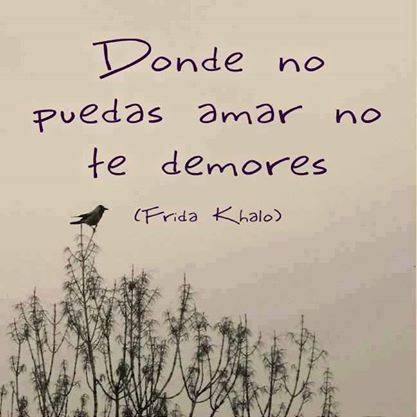 Yo (Te Quiero) Decir tweet media