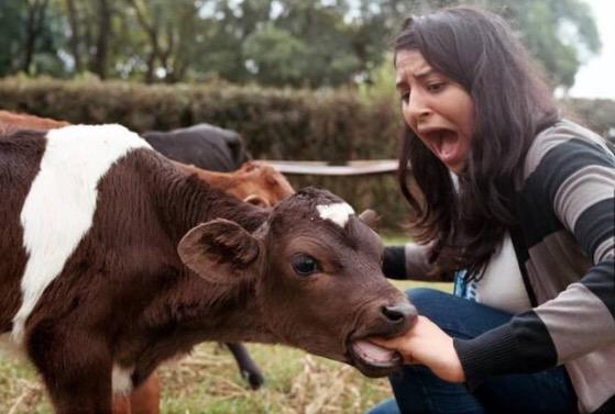 LoganPaul's tweet photo. Who's the burger now?! http://t.co/8ojoIVldg0