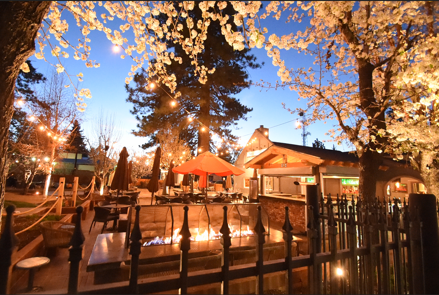 Ted Trent tweet media