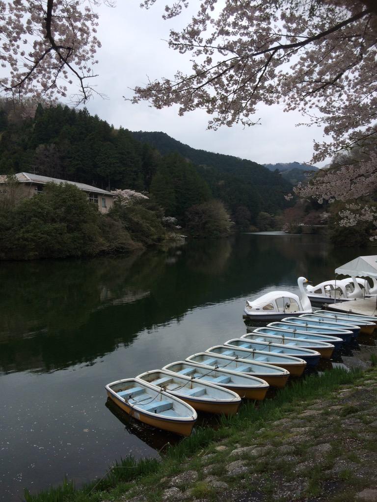 もろ丸くん 公式アカウント On Twitter 今日は 鎌北湖で映画の撮影がこれからあるんだ 有名な俳優さんが来て スワンボートに乗って撮影するんだ また写真upするね Http T Co Skpxiv0kt5 Twitter