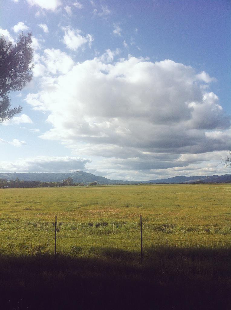 cheechmypeach's tweet photo. Not a bad drive homo #marshmellowfluff #cumulus #cumulonimbus #rainraincomeourway http://t.co/TgPwcYTrvR