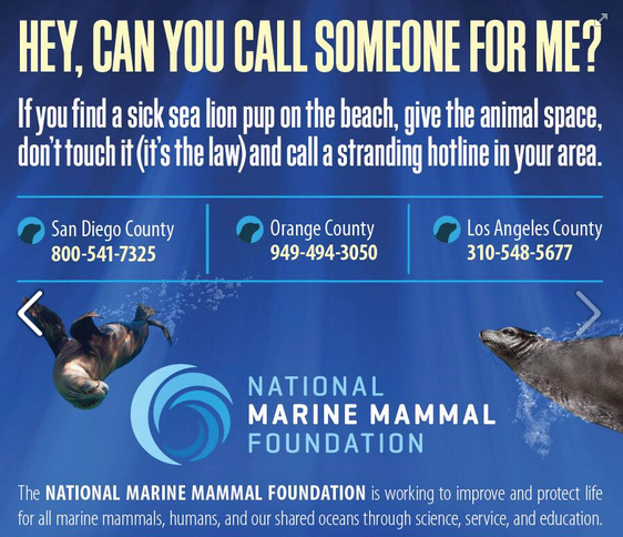 Pacific Marine Mammal Center tweet media