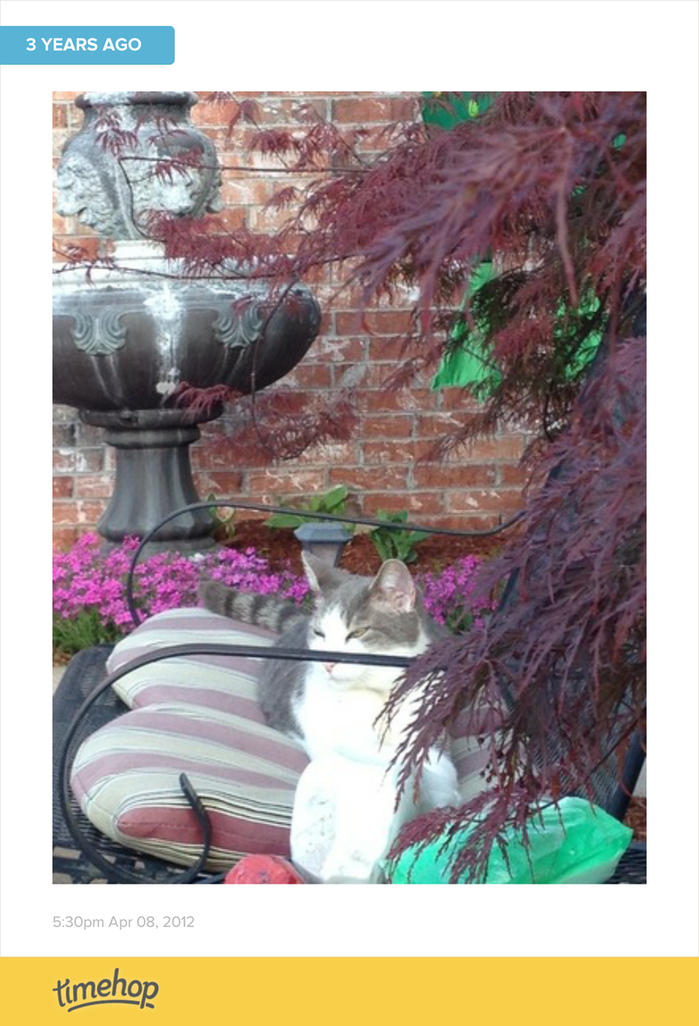 LaynetteR's tweet image. Sir Riley  t.imehop.com/1IucojI