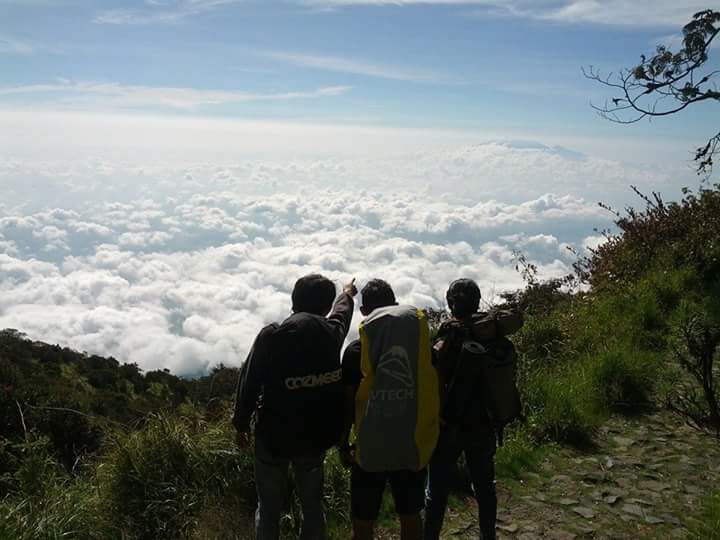 Joko Harianto (@petal_lgl) on Twitter photo 