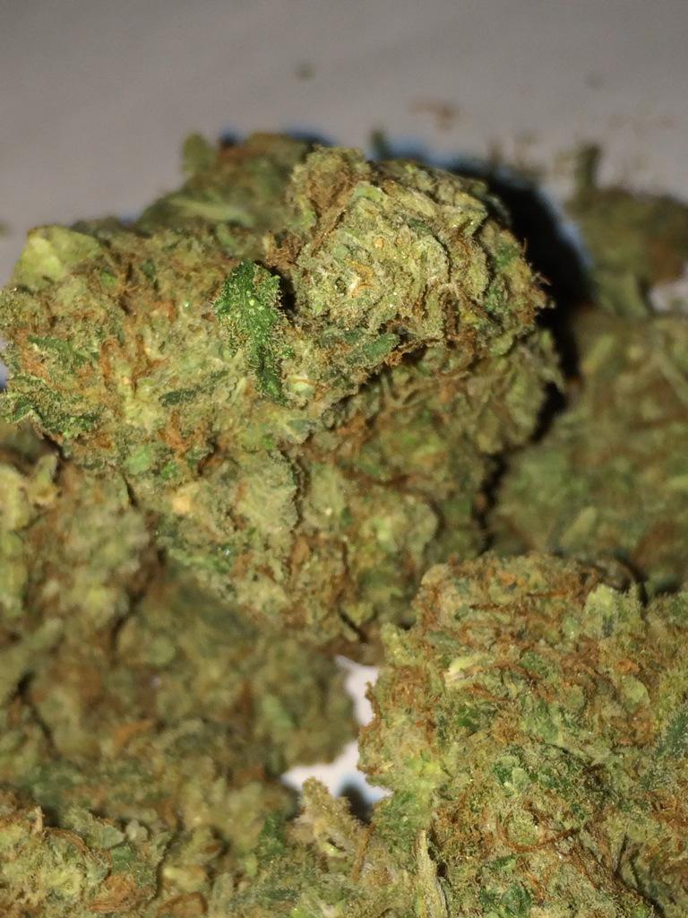 DailyWeedLife tweet picture