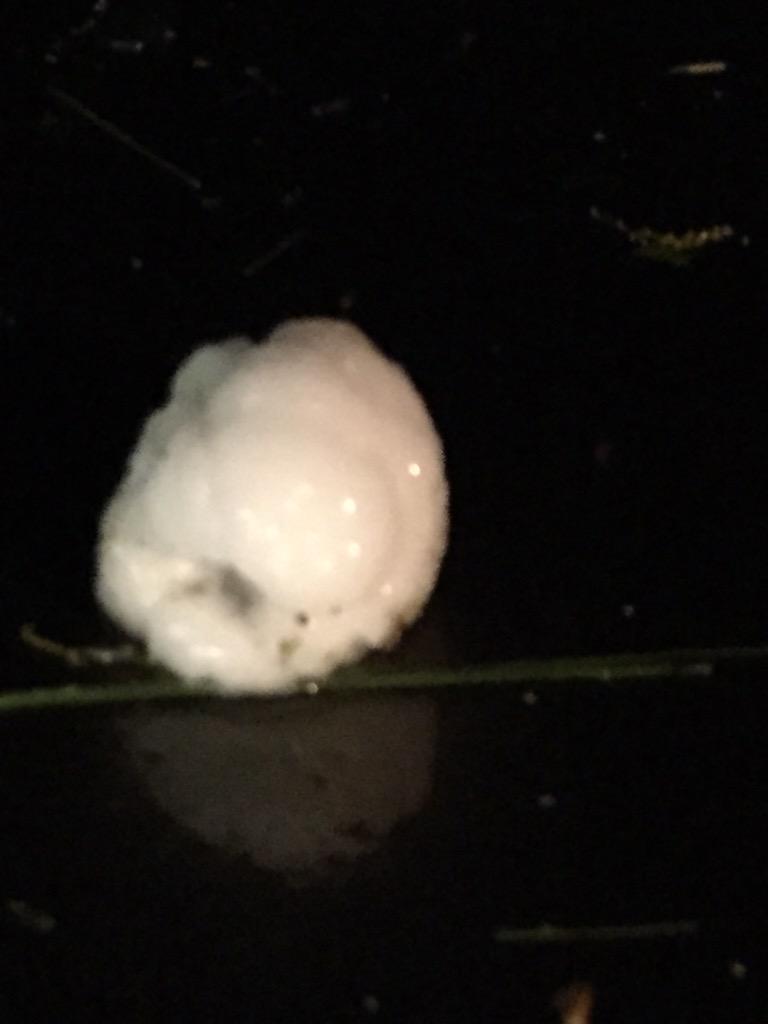 MatthewFHays1's tweet photo. @lloveland @WRAL http://t.co/mdqJGN5Hm3