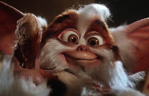 El_Universal_Mx's tweet photo. #Cine Planean 'revivir' a los #Gremlins Carl Ellsworth escribirá guión de la película de 1984 http://t.co/l9T1wN9AsW http://t.co/9rWbrPXBLp