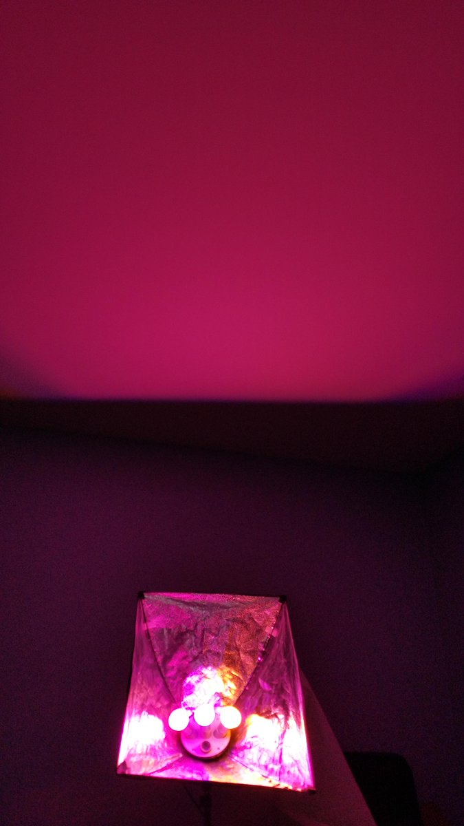 Urgo's tweet image. Picked up some phillips hue lights. Activated them w/ IFTT. Tweet this to randomize my colors LOL @Urgo #randomlight