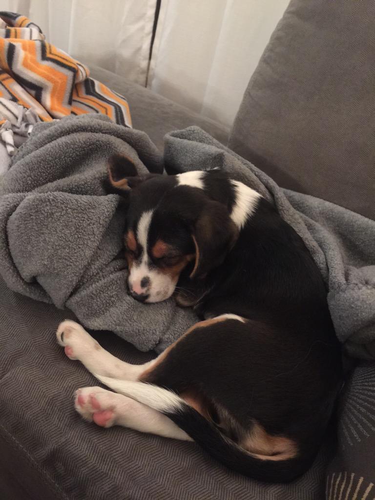 tjmart0116's tweet image. I feel the same way. #firstdayhome