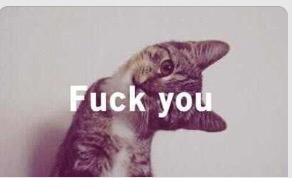 BasicLynn's tweet image. 😼