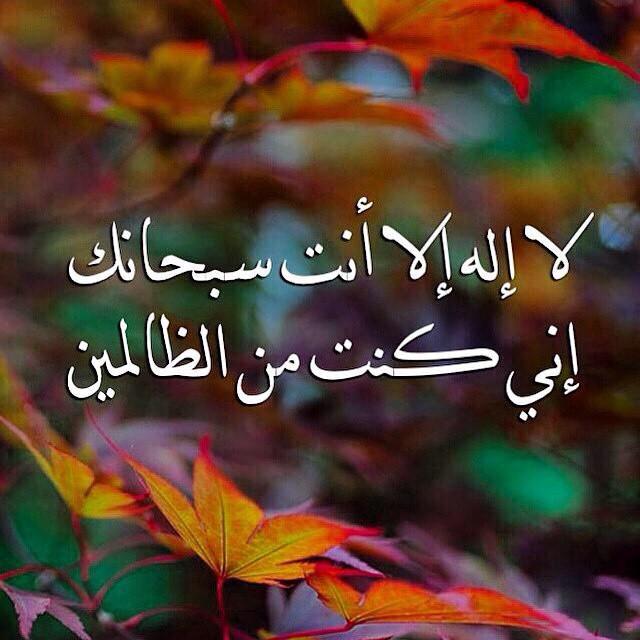 Rikabi4's tweet photo. أصبحناوأصبح الملك لله,والحمد لله ولاإله الا الله وحده لاشريك له له الملك وله الحمد يحيي ويميت وهوعلى كل شئ قدير http://t.co/xK4LzHvJDn