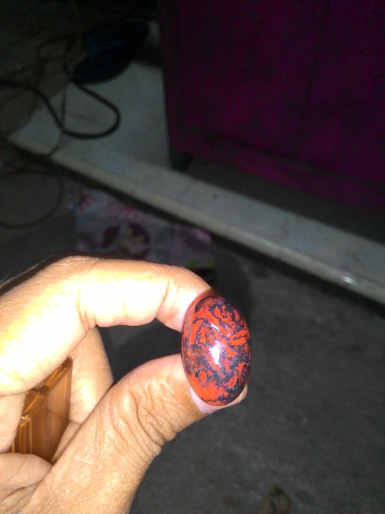 BADAR besi merah hitam exotis..