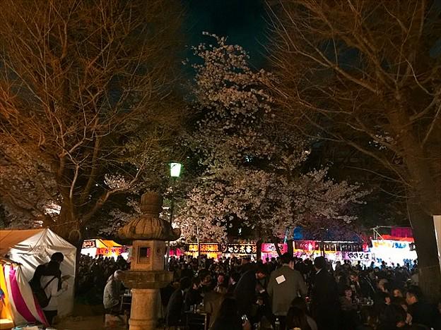 千鳥ヶ淵花見22の穴場スポットや見ごろはいつからいつまで 混雑状況や屋台情報を紹介 はいからレストラン