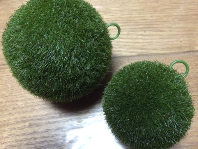 100均ダイソー セリアで買える苔玉 使い方や作り方も Belcy