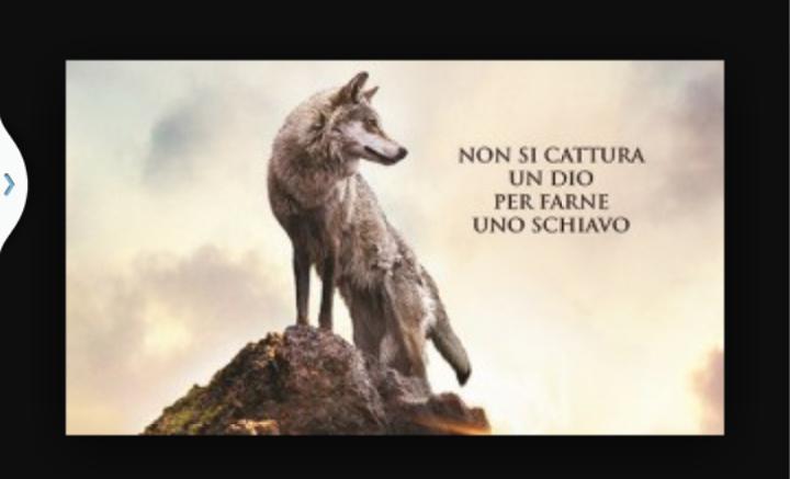 rossi6754's tweet photo. Buongiorno http://t.co/C9386oS6Yk