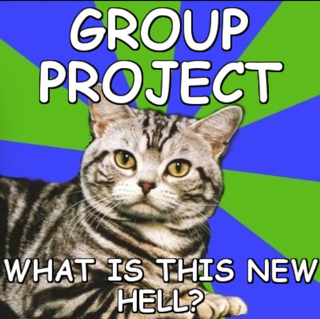 psychgradgirl's tweet photo. Group project as a final??!!! Seriously?!? #gradschool #groupprojecthell #gradschoolproblems #finals http://t.co/IV12tbwgBQ