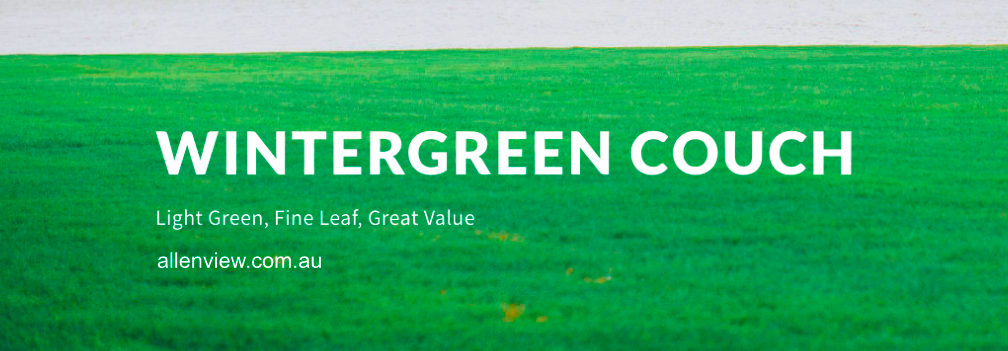 Allenview Turf (@AllenviewTurf) / Posts / X