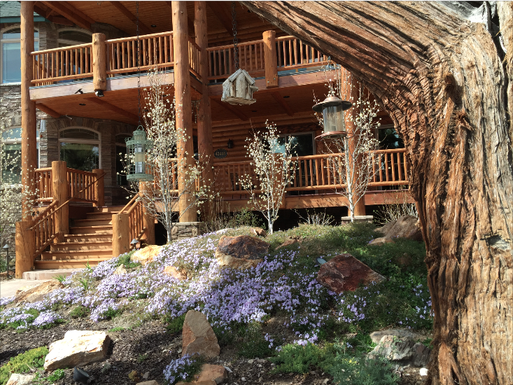 Ted Trent tweet media