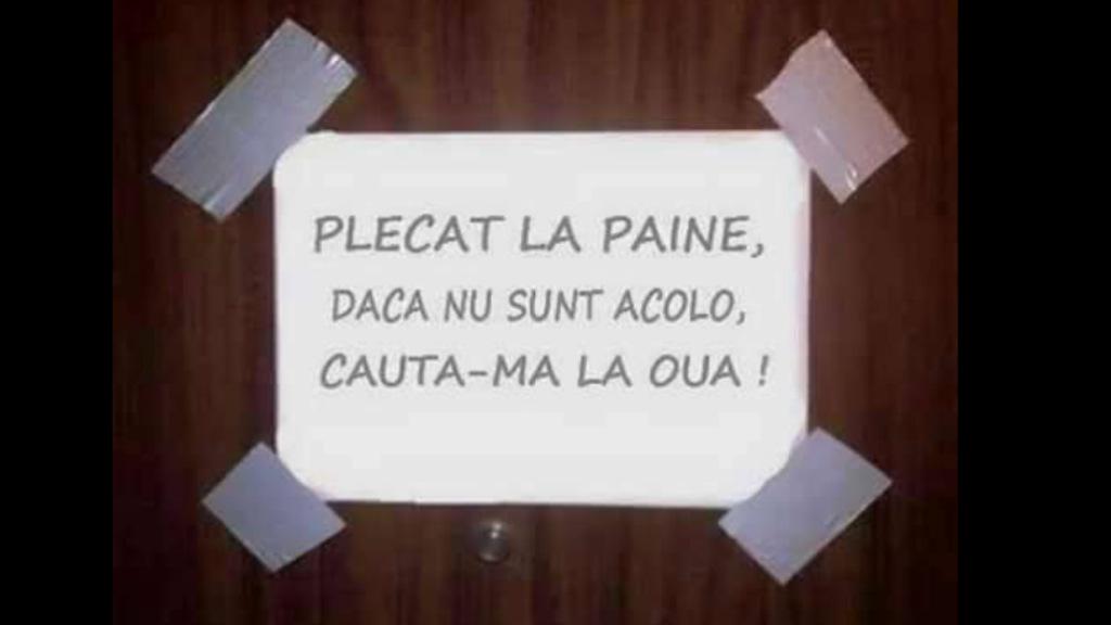 MaximiucL's tweet image. 