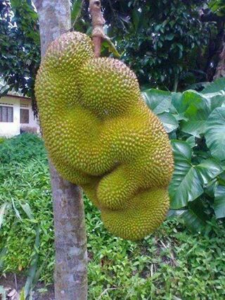 amaran143maran's tweet image. 