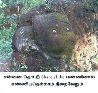 amaran143maran's tweet image. 