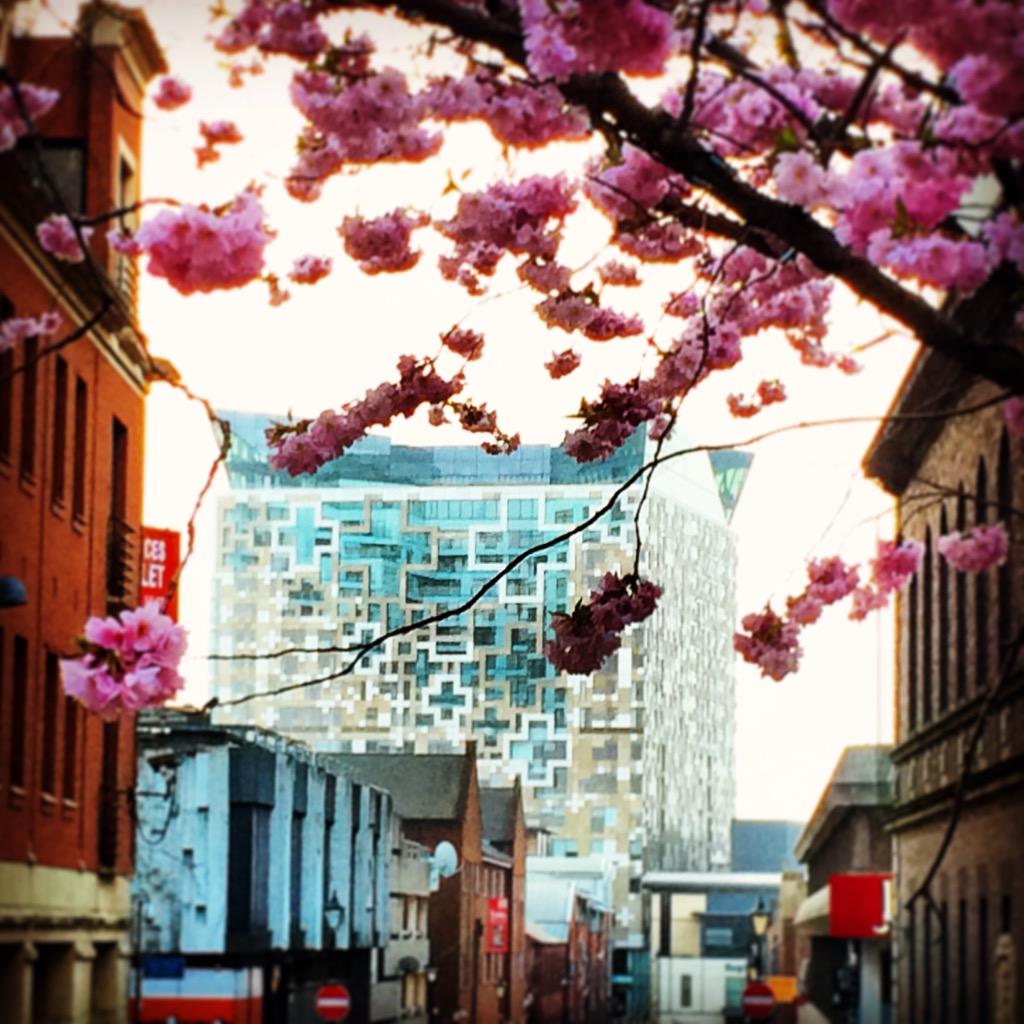 AndyGoulding's tweet image. Lovely view of @thecubebham from @Brindleyplace this morning! #Birmingham