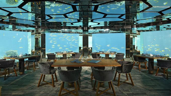 atmaldives's tweet photo. Celebrities seem to love this underwater restaurant at Anantara #Maldives #CelebrityAwards2015 http://t.co/s3YT5kRJ2Y