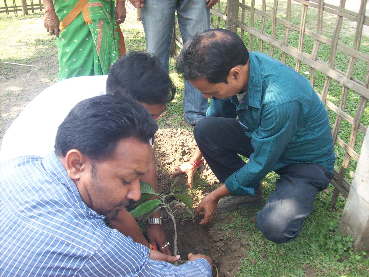 dckamrup tweet media