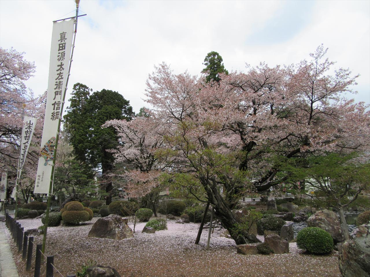 山梨県 甲州市観光協会 甲州市の桜は 恵林寺は散りはじめ 慈雲寺は葉桜になりかけ 甚六桜は散りはじめ いまは桃がとっても綺麗です 少し高いところに登ればピンクのじゅうたんが 大藤周辺の塩山桃源郷は5分 7分咲きです 週末は見ごろかも 山梨県 甲州市観光協会 甲州市の桜は 恵林寺は散りはじめ 慈雲寺は葉桜になりかけ 甚六桜は散りはじめ いまは桃がとっても綺麗です 少し高いところに登ればピンクのじゅうたんが 大藤周辺の塩山桃源郷は5分 7分咲きです 週末は見ごろかも