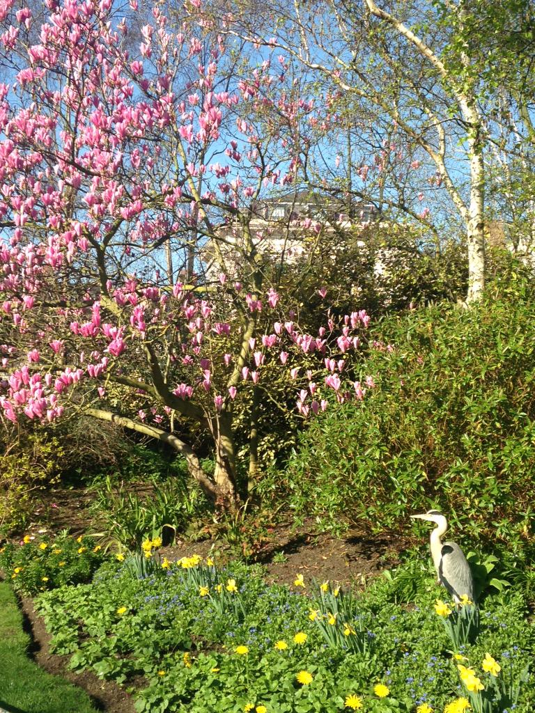 maria hadjipateras (@mariamhadji) on Twitter photo 