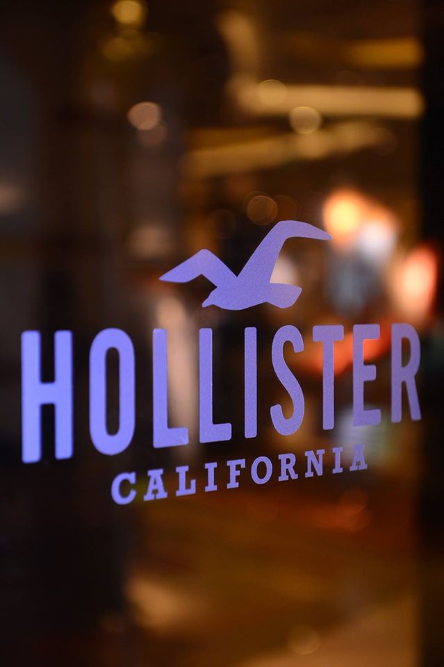 Hollisterfujimi