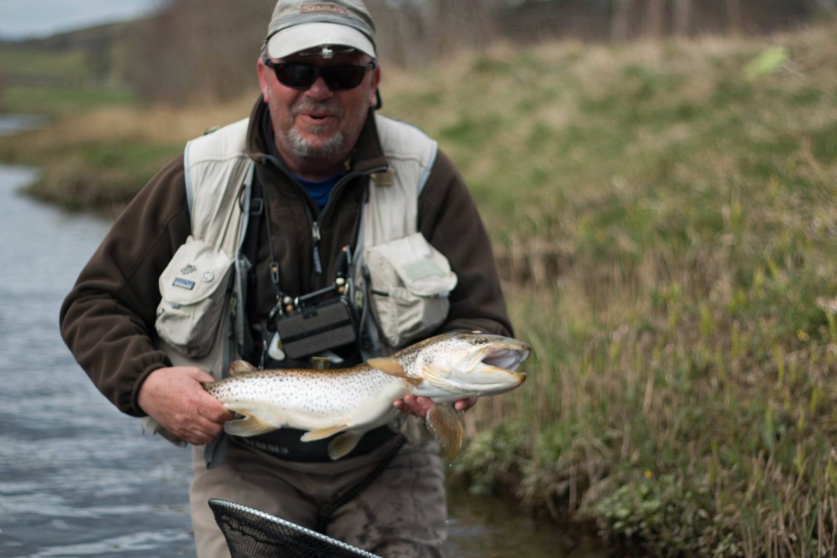durhamflyfishco's tweet image. Whoo Hoo 'Big uns' on the March Browns ??  63cm Can you Guess the weight??