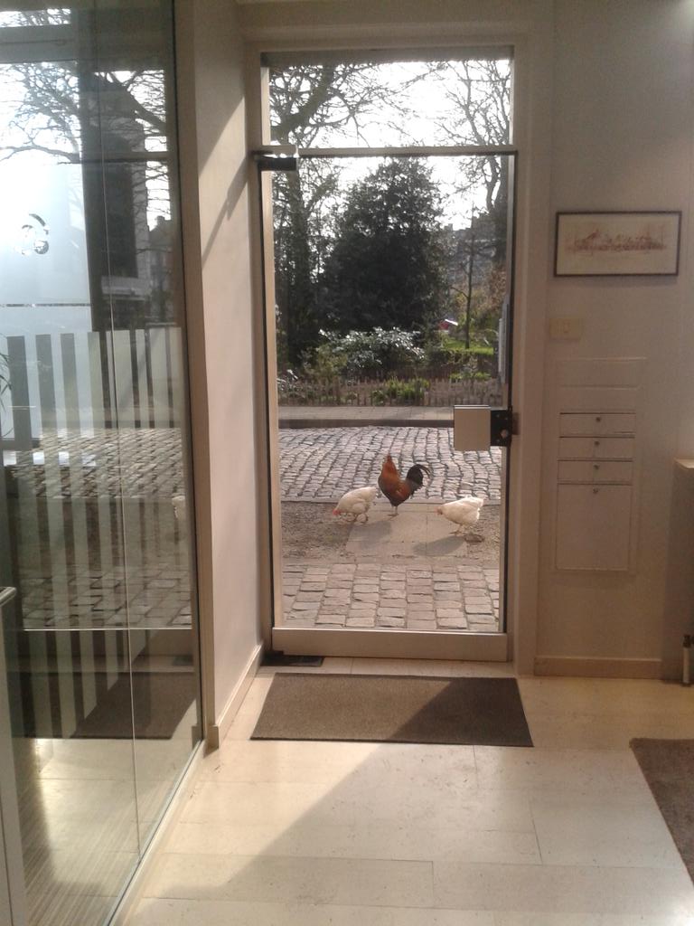 We hebben groot bezoek vandaag!