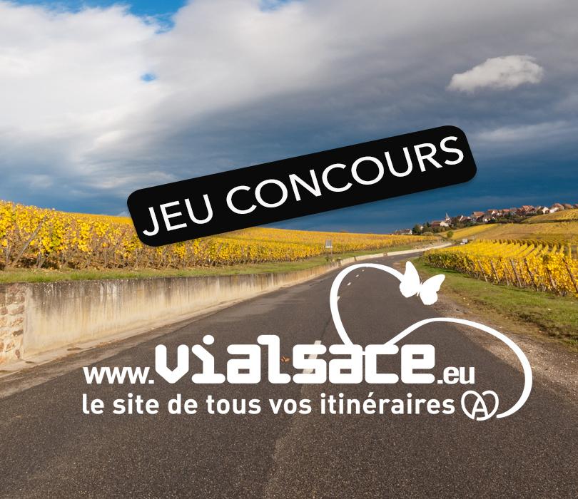 Ville de Haguenau tweet media