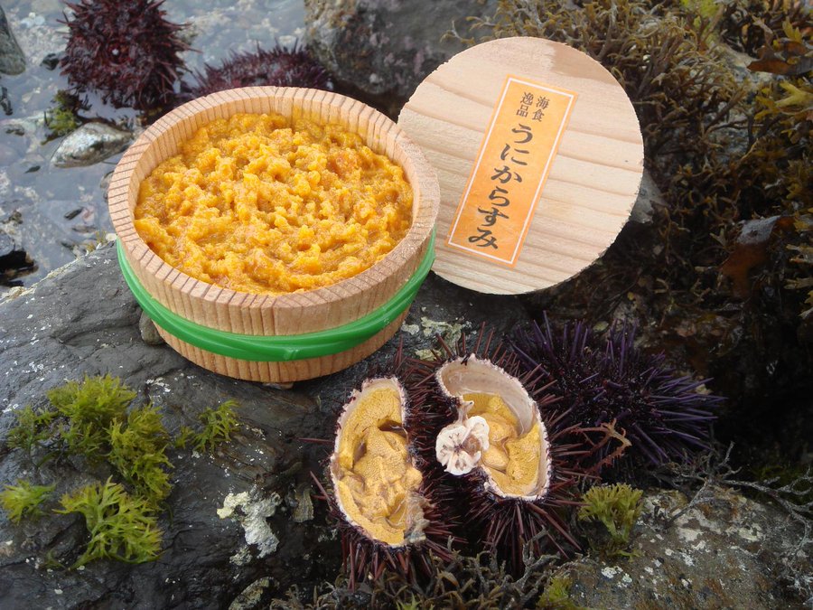 青空レストラン うにからすみ通販は 販売店も紹介 熊本県天草 まんぷくびより