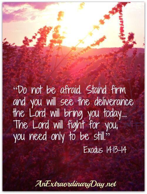 maroulakiz's tweet photo. Do not be afraid... http://t.co/lKg2kreyJc