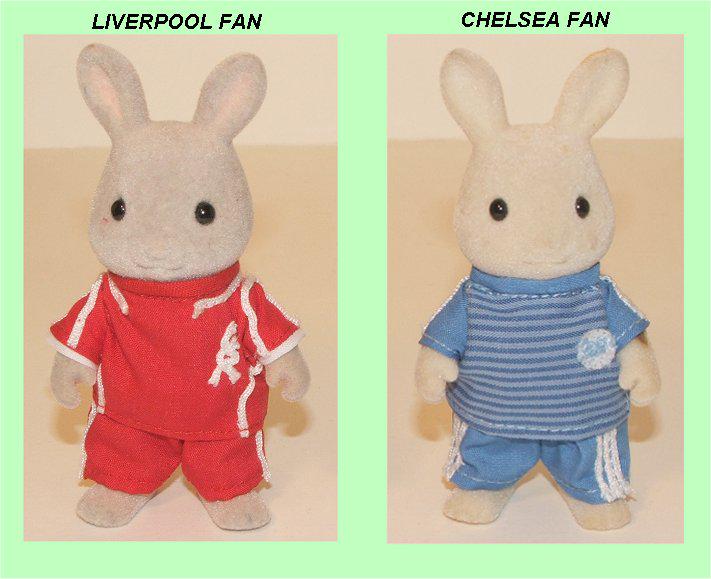 sylvanian families liverpool