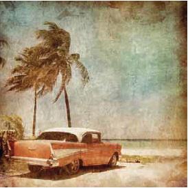 ChiefStock's tweet image. #ChiefStock #walldecor. #UrbanArt #Graffiti, #Vintage, #Contour ... get 15% #coupon at bit.ly/1FmqimX