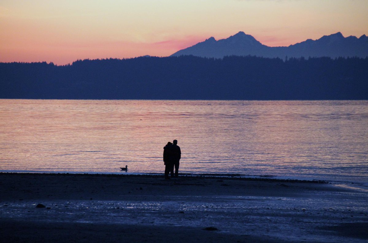 ThrillistSEA's tweet photo. 11 Ways Dating in Seattle Is Different Than Any Other City: http://t.co/pb4CsMHu8a http://t.co/69cbvMEbMQ