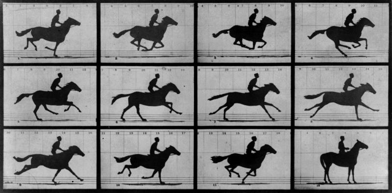 BFI's tweet image. For some the father of motion pictures, pioneering photographer Eadweard Muybridge was born on this day in 1830