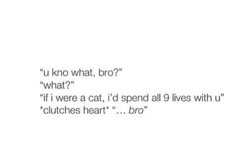 meshi155204's tweet photo. Reminds me of the bro jokes. ZOUIS MOMENTS I MISS U! @Louis_Tomlinson @zaynmalik http://t.co/nocHxvebEA
