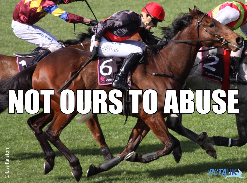 Great news that Balthazar King is up!
But isn’t it time to stop gambling on animals’ lives? petauk.org/b198