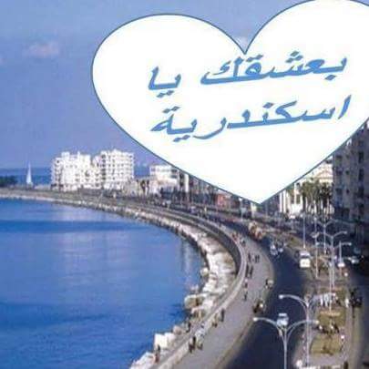 Ekramy Faragali (@0ed47e3b4fc546f) on Twitter photo 