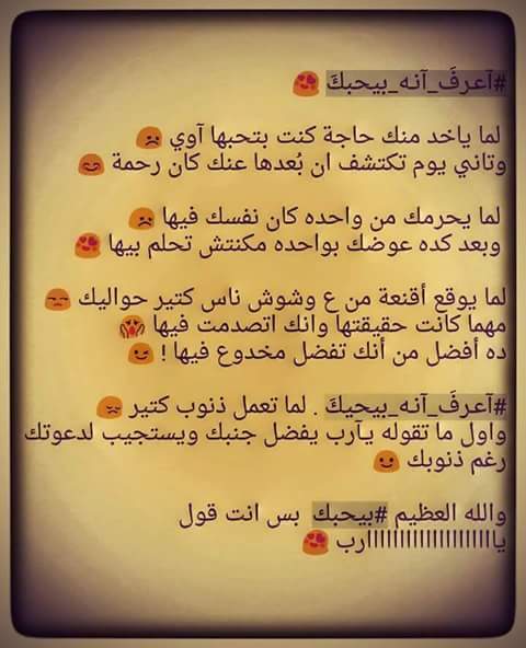 Sarah_Mans0ur's tweet photo. http://t.co/ZmW7YAEpd0