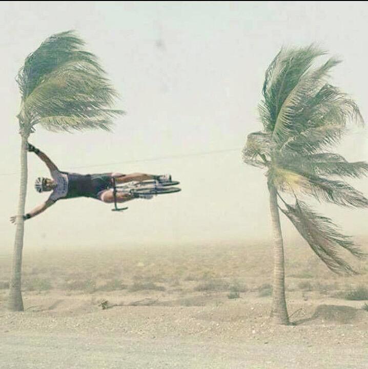 Seguimos con este puñetero viento que despeina flequillos.....