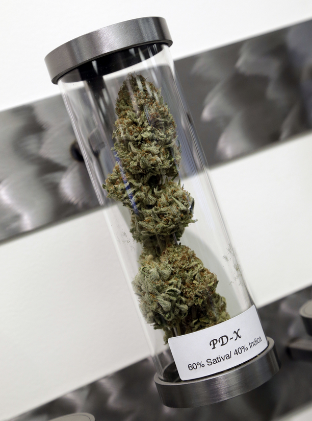 VICENews's tweet photo. Weed may actually help fight some brain tumors: http://t.co/Sd6f7R2kku http://t.co/cx4PvEOjlg